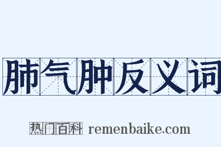 肺气肿反义词是什么意思的图片